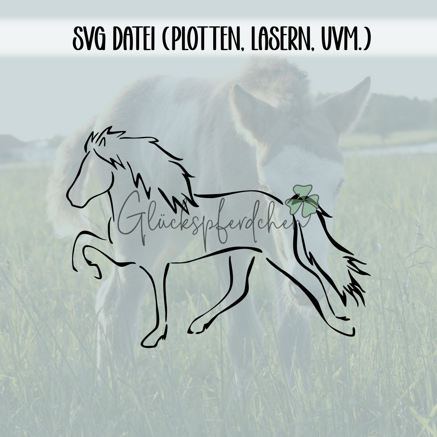 SVG Datei Islandpferd