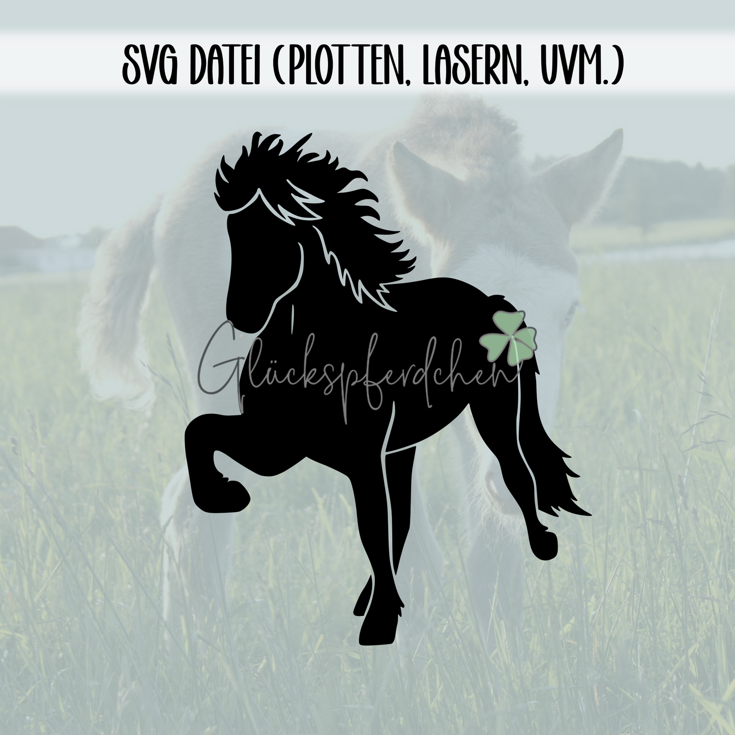 SVG Datei Islandpferd