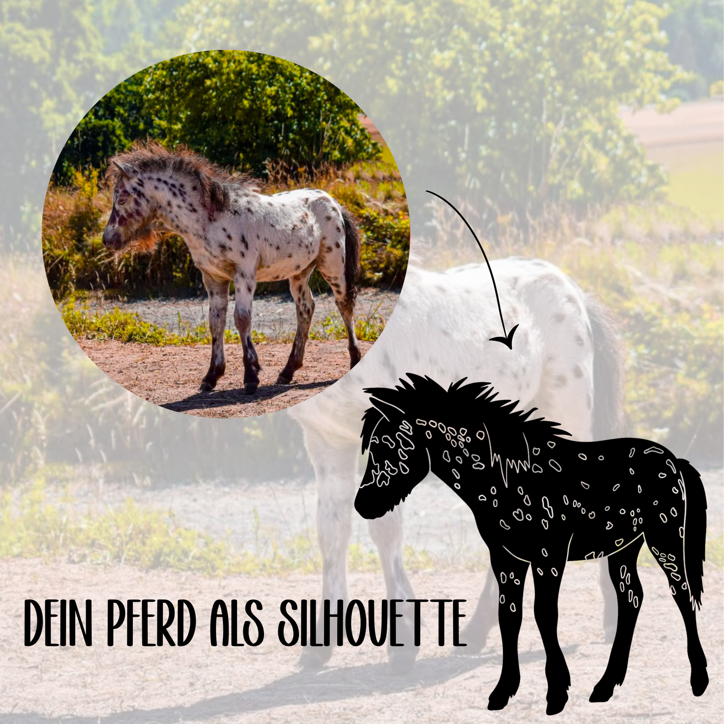 Silhouette eigenes Pferd