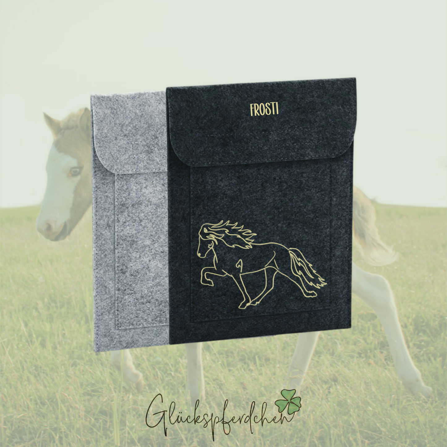 Equidenpasshülle Islandpferd