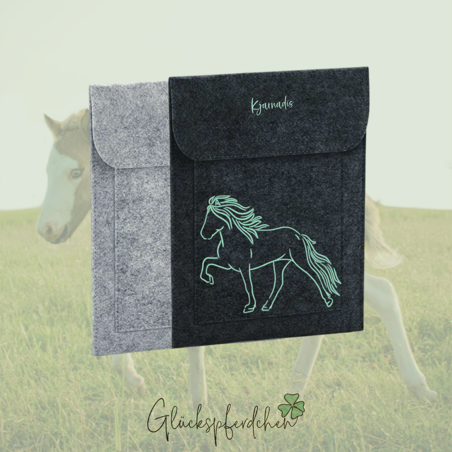 Equidenpasshülle Islandpferd