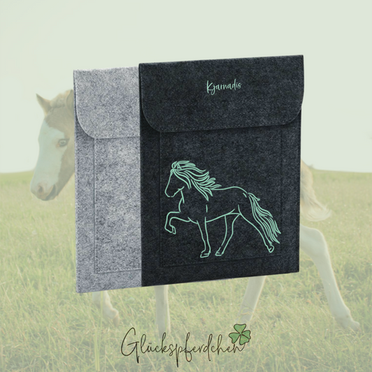 Equidenpasshülle Islandpferd