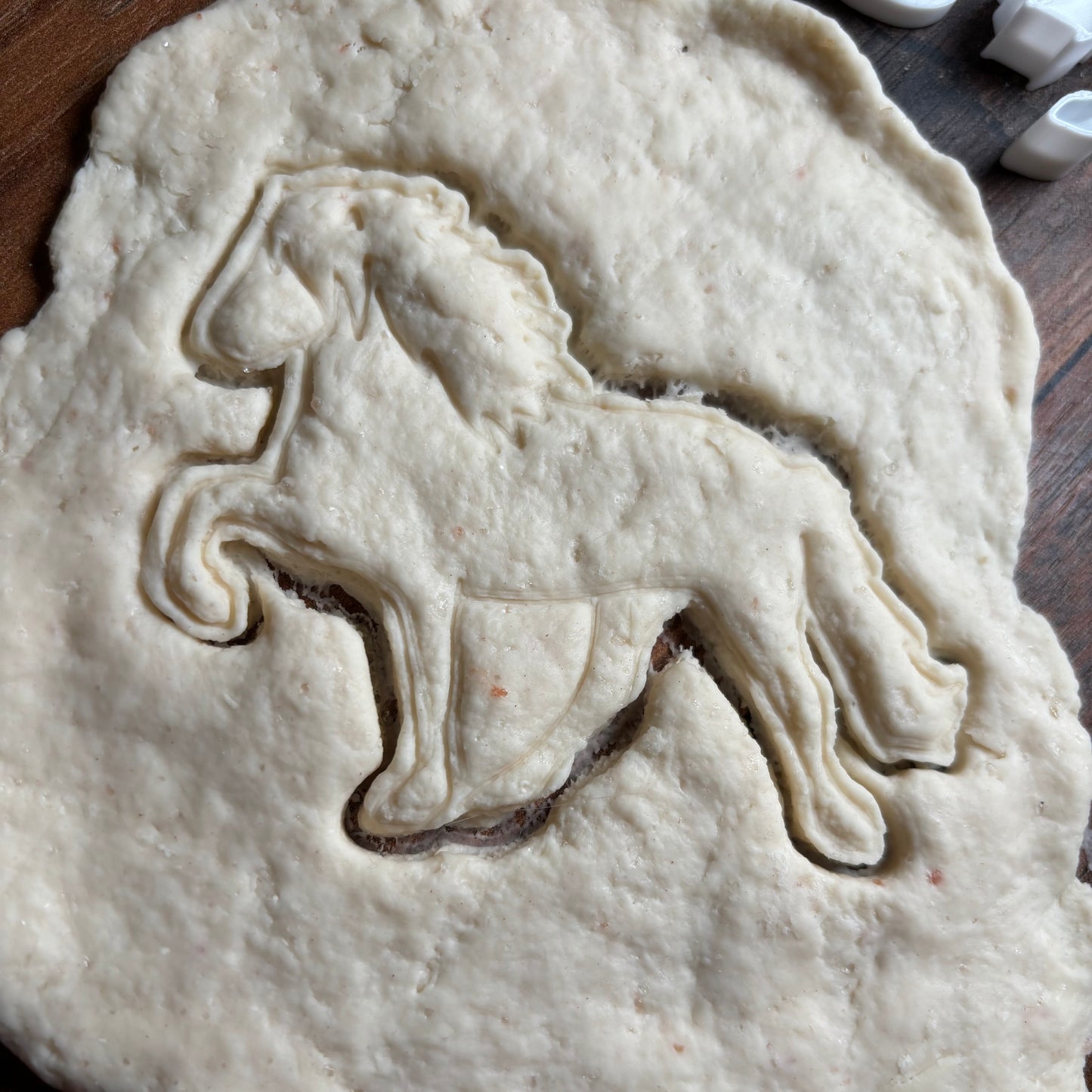 Ausstecher Islandpferd