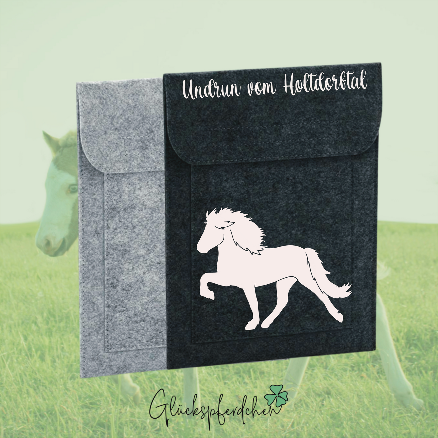 Equidenpasshülle Islandpferd