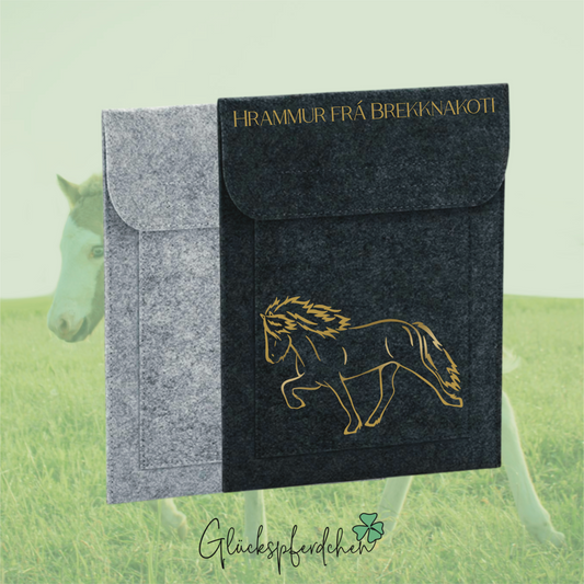 Equidenpasshülle Islandpferd